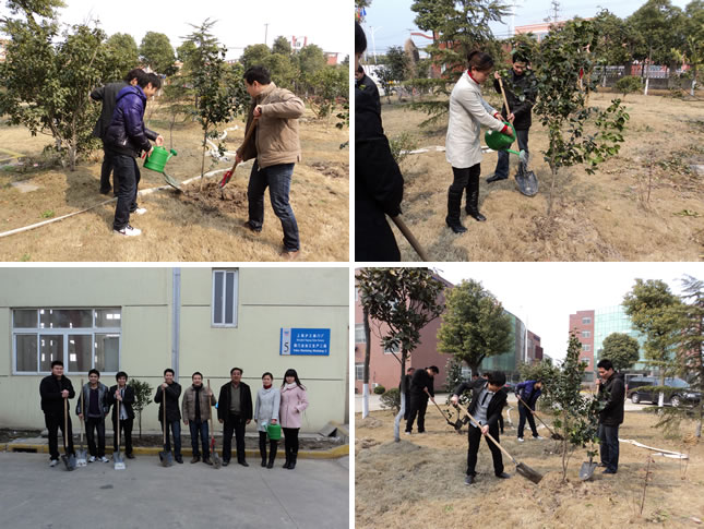 上海滬工閥門廠 2011 年 3.12 植樹節(jié)活動