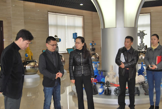 區(qū)領導視察、參觀公司榮譽展廳