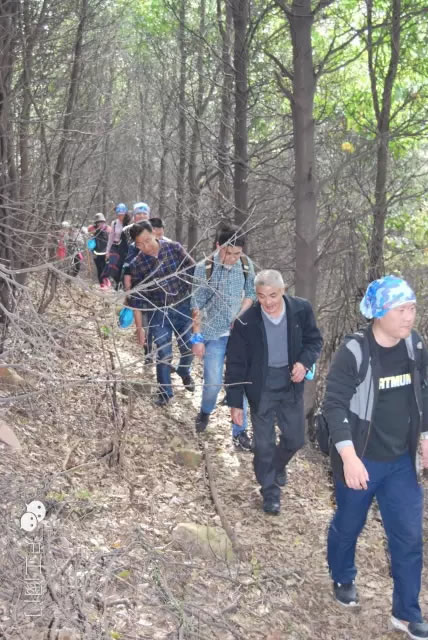 上海滬工閥門廠2016年秋季徒步毅行活動 圖12