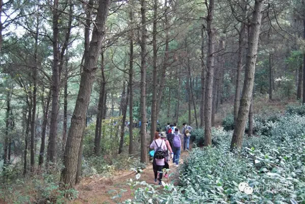 上海滬工閥門廠2016年秋季徒步毅行活動 圖24